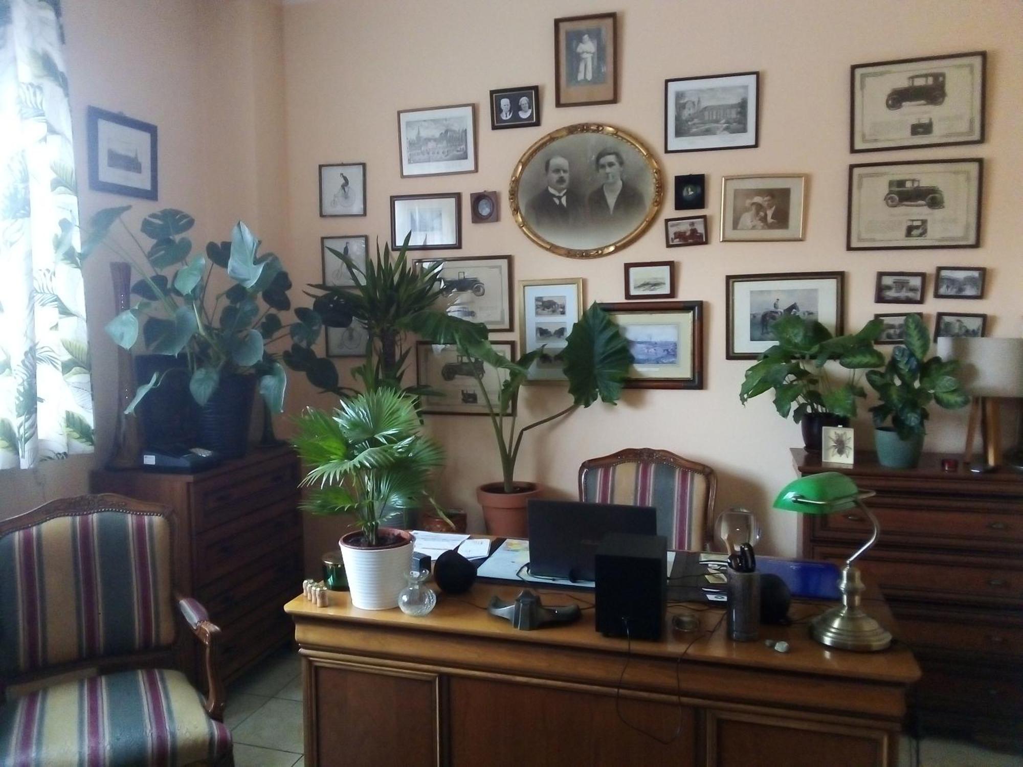 Villa Minerva Zielona Gora  Luaran gambar